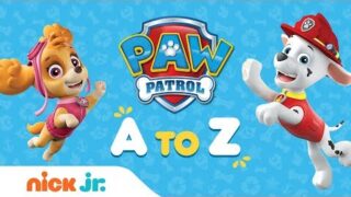 paw patrol from a to z f09f939alearn to read the alphabet w the pups paw patrol nick jr